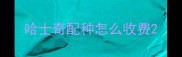 哈士奇配种怎么收费