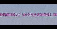 3个月大狗狗疯狂咬人这5个方法亲测有效附纠正指南
