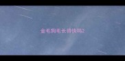 金毛狗毛长得快吗