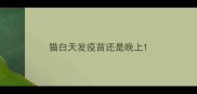 猫白天发疫苗还是晚上