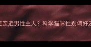 猫咪为何更亲近男性主人科学猫咪性别偏好及养护建议