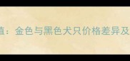 边牧颜色价值金色与黑色犬只价格差异及选购全指南
