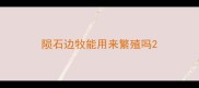陨石边牧能用来繁殖吗