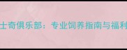 大连哈士奇俱乐部专业饲养指南与福利活动全