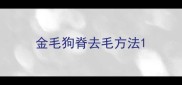 金毛狗脊去毛方法