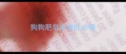 狗狗肥皂水催吐步骤