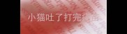 小猫吐了打完疫苗