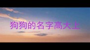 狗狗的名字高大上