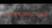 哈士奇可以隔几天洗澡