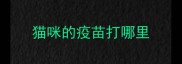 猫咪的疫苗打哪里