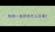 狗狗一直捞痒怎么回事