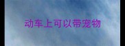动车上可以带宠物
