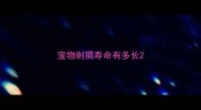 宠物刺猬寿命有多长