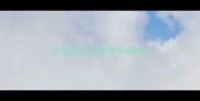 拉布拉多来例假早好吗