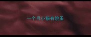 一个月小猫有跳蚤