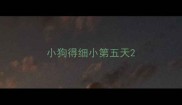 小狗得细小第五天