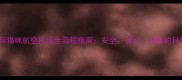 国内国际猫咪航空托运全流程指南安全省心省钱的科学方案