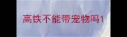 高铁不能带宠物吗