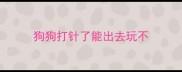 狗狗打针了能出去玩不