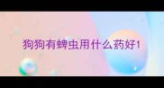 狗狗有蜱虫用什么药好