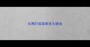 比熊打疫苗前多久驱虫