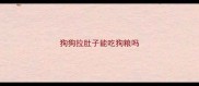 狗狗拉肚子能吃狗粮吗