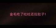 金毛吃了吐吐还拉肚子