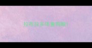 拉布拉多体重狗粮