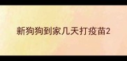 新狗狗到家几天打疫苗
