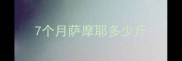7个月萨摩耶多少斤