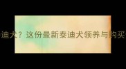 上海哪里买泰迪犬这份最新泰迪犬领养与购买全攻略看这里