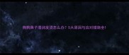 狗狗鼻子湿润发烫怎么办5大原因与应对措施全