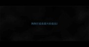 狗狗打疫苗嘉兴防疫站