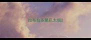 拉布拉多尾巴太细