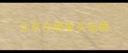 北京在哪里买宠物