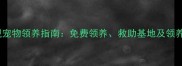北京正规宠物领养指南免费领养救助基地及领养流程全