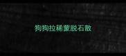 狗狗拉稀蒙脱石散