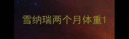 雪纳瑞两个月体重
