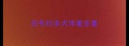 拉布拉多犬体重多重