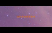 边牧金色搭配金色