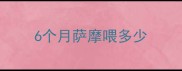 6个月萨摩喂多少