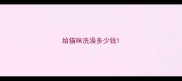 给猫咪洗澡多少钱