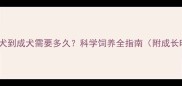 藏獒从幼犬到成犬需要多久科学饲养全指南附成长时间表