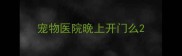 宠物医院晚上开门么