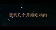 贵宾几个月能吃鸡肉