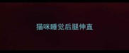 猫咪睡觉后腿伸直