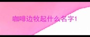 咖啡边牧起什么名字