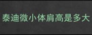 泰迪微小体肩高是多大
