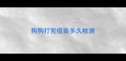 狗狗打完疫苗多久检测