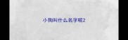 小狗叫什么名字呢